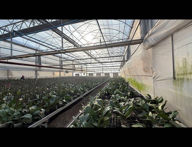 40,471M² SMALLHOLDING FOR SALE IN BENONI AH